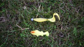 gummifische-neongelb Gummifische in Neongelb