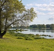 Elbufer