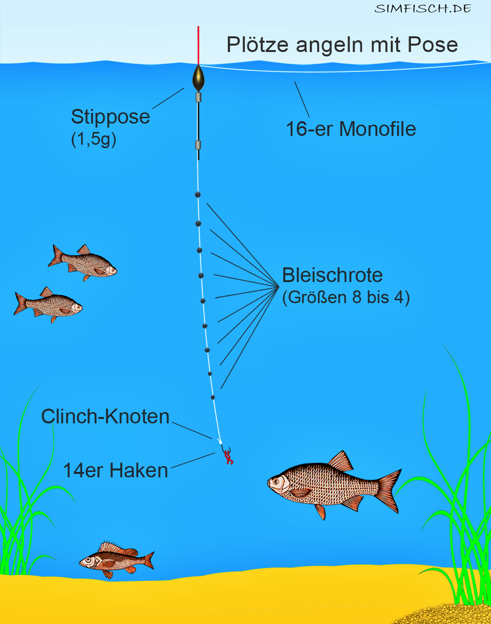 pl-tze-angeln-simfisch-de-angeln-und-outdoor