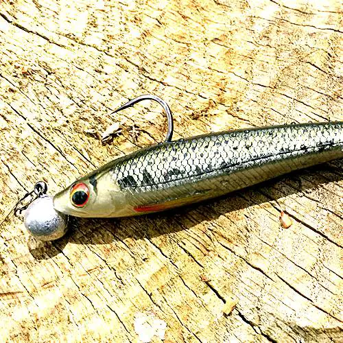 Daiwa Duckfin Shad Test | Simfisch.de – Angeln und Outdoor!