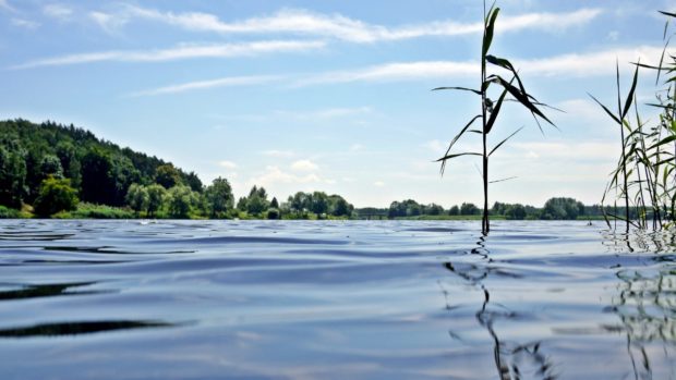 Wasseroberfläche