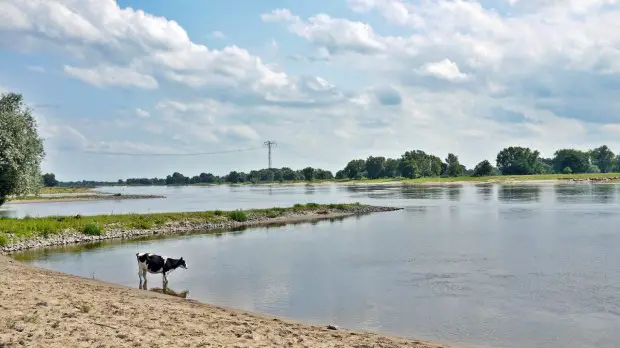 Elbe Steinpackung