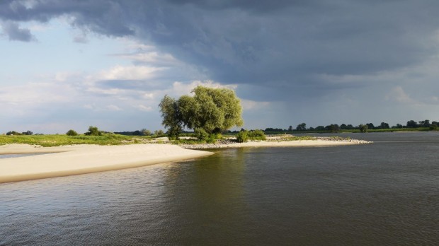 Buhne an der Elbe