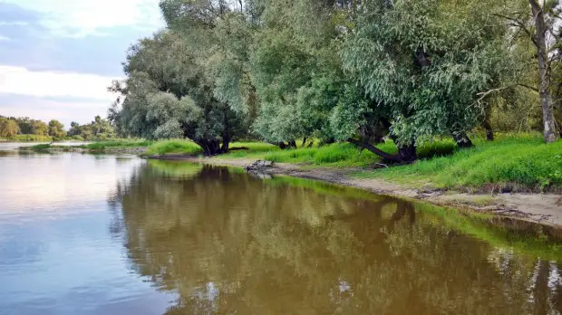 An der Oder im Hochsommer