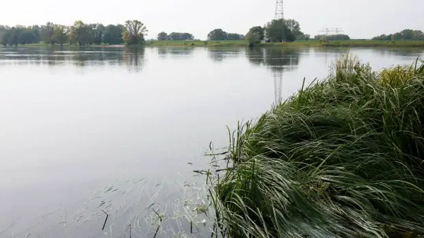 Wind im Sommer