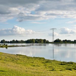 Frühling an der Elbe