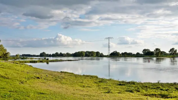 Sommer an der Elbe