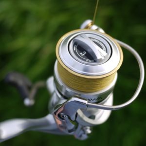 Daiwa Caldia Spule