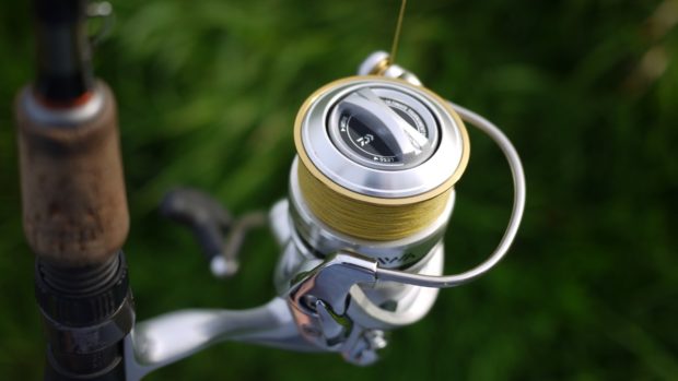 Daiwa Caldia Spule