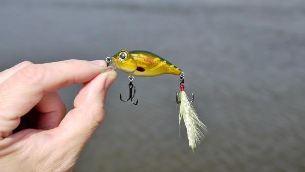 Kleiner Crank-Wobbler