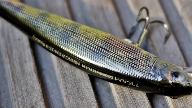 Minnow PM Cormoran