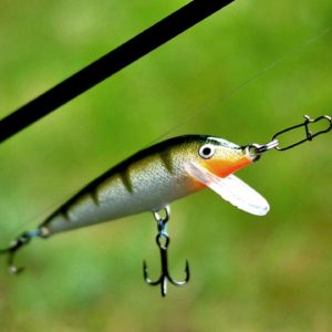 Rapala Countdown Sinking Wobbler