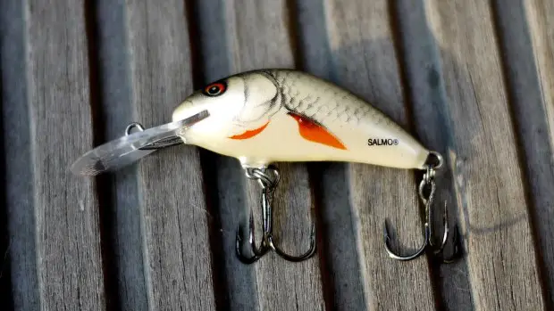 Salmo Hornet 4