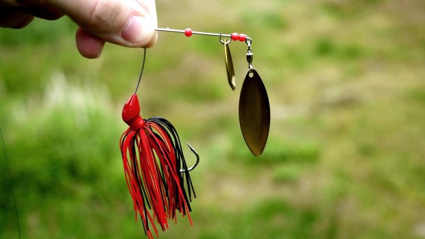 Spinnerbait