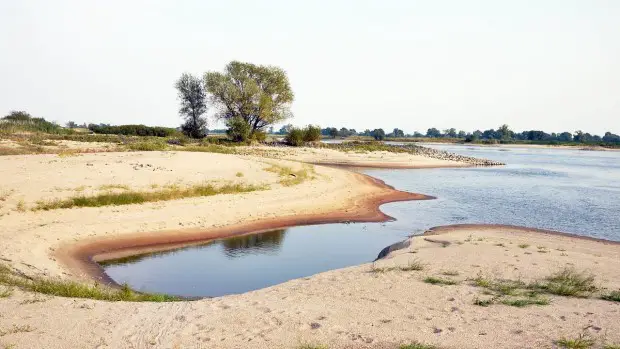 Elbe bei Niedrigwasser