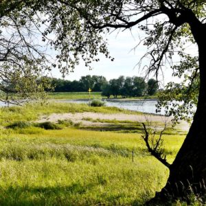 Elbufer beim niedrigen Wasserstand
