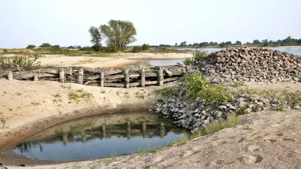 Niedrigwasser an der Elbe