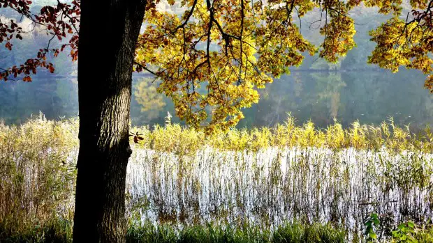 Am See im September