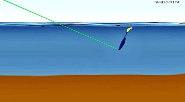 Sinkphase beim Jiggen