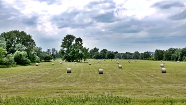 Picknick-Ausflug