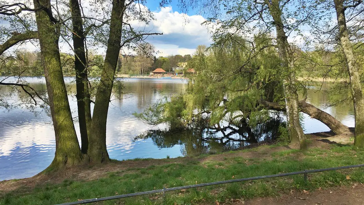 Forellenseen bei Hamburg Simfisch.de Angeln und Outdoor!