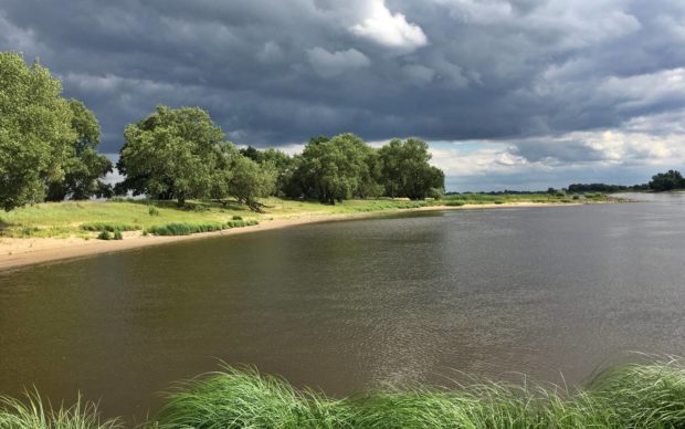 Elbe am Mühlberg