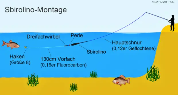 Montage zum Sbirolino-Angeln