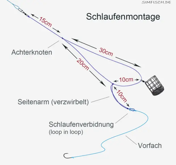 Schlaufenmontage für kapitale Plötzen