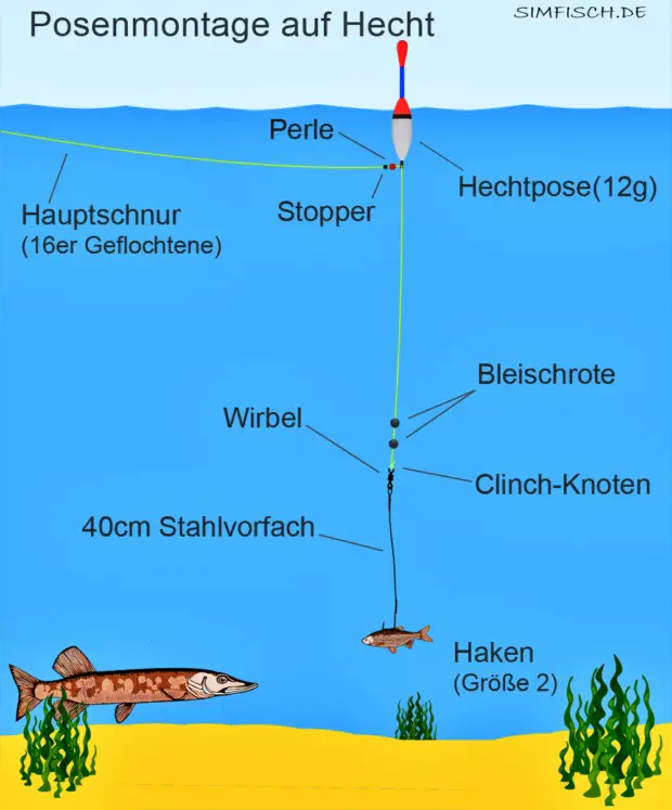 Hechtangeln mit Köderfisch und Pose