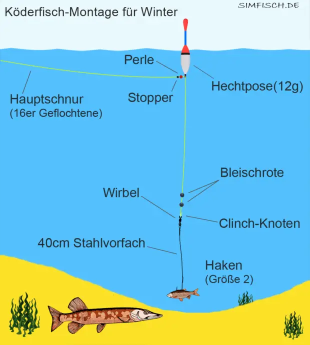 Posenmontage mit Köderfisch für Winter