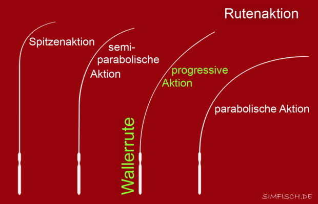 Rutenaktion einer Wallerrute