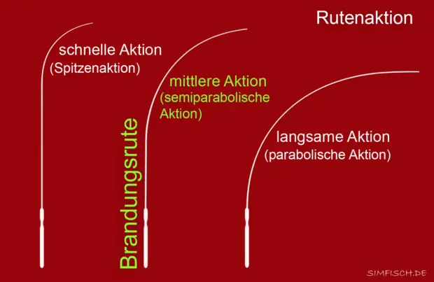 Brandungsrute Aktion