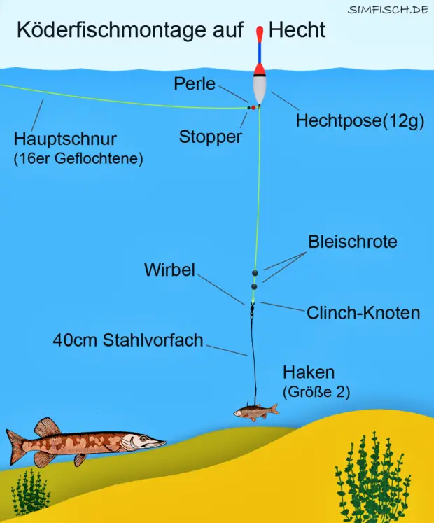 Köderfischmontage zum Hechtangeln