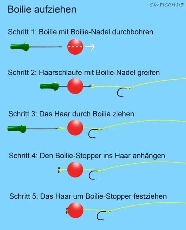 Boilie aufziehen