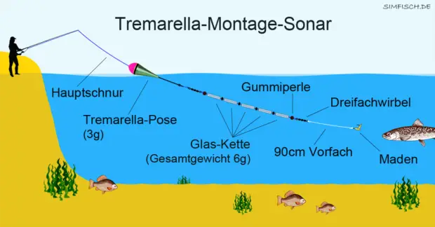 Tremarella-Montage Sonar