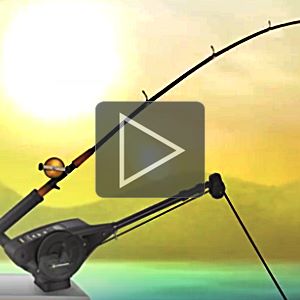 2x Downrigger Snubber 38cm - Edelstahl Dämpfer Für Trolling Angeln