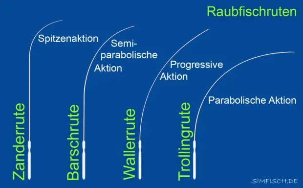 Raubfischruten Rutenaktion