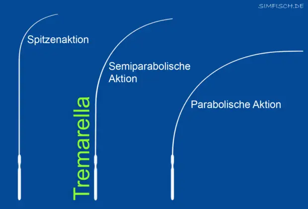 Aktion einer Tremarella-Rute