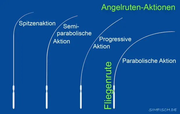 Fliegenruten-Aktion