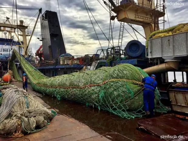 Industrieller Fischfang