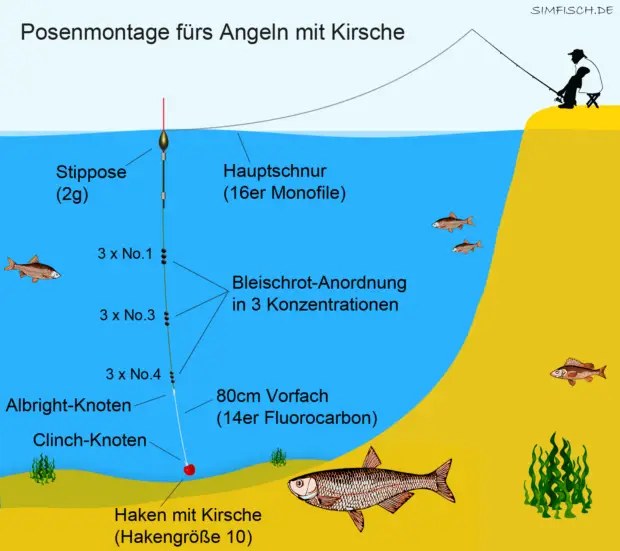 Posenmontage fürs angeln mit Kirsche