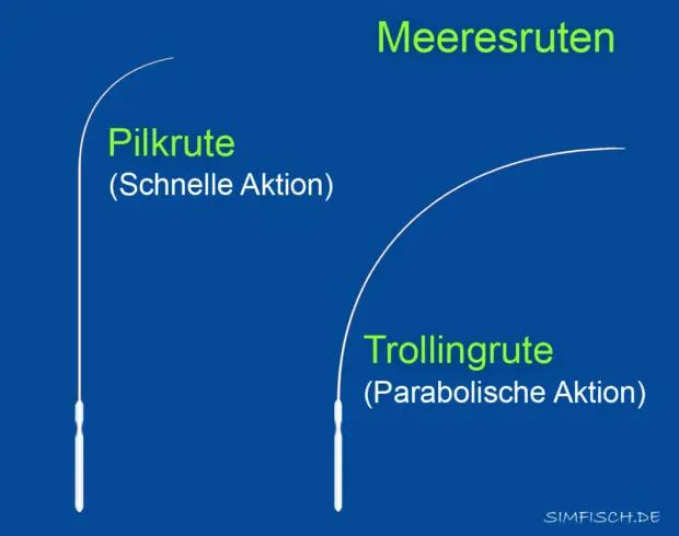 Meeresruten