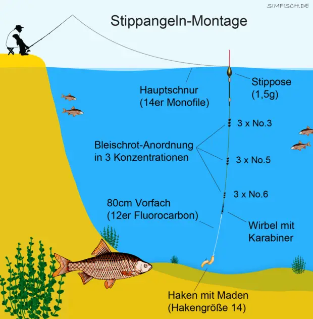 Montage zum Stippfischen