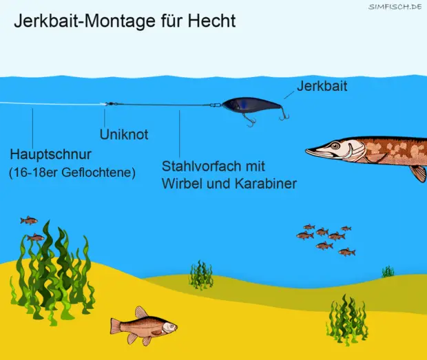 Jerkbait-Montage für Hecht