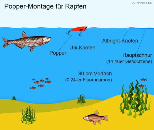 Führung der Oberflächenköder