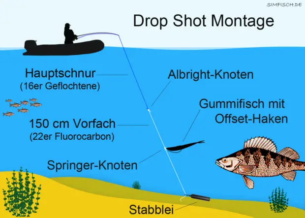 Drop Shot Montage