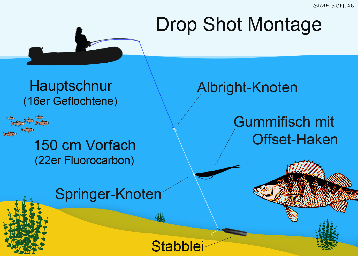 Drop Shot Montage Anleitung | Simfisch.de - Angeln und Outdoor!