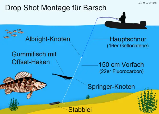 Drop-Shot-Montage für Barsch