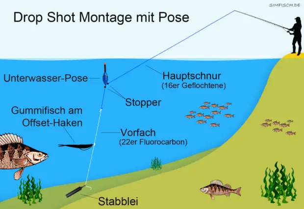 Drop Shot Montage mit Pose