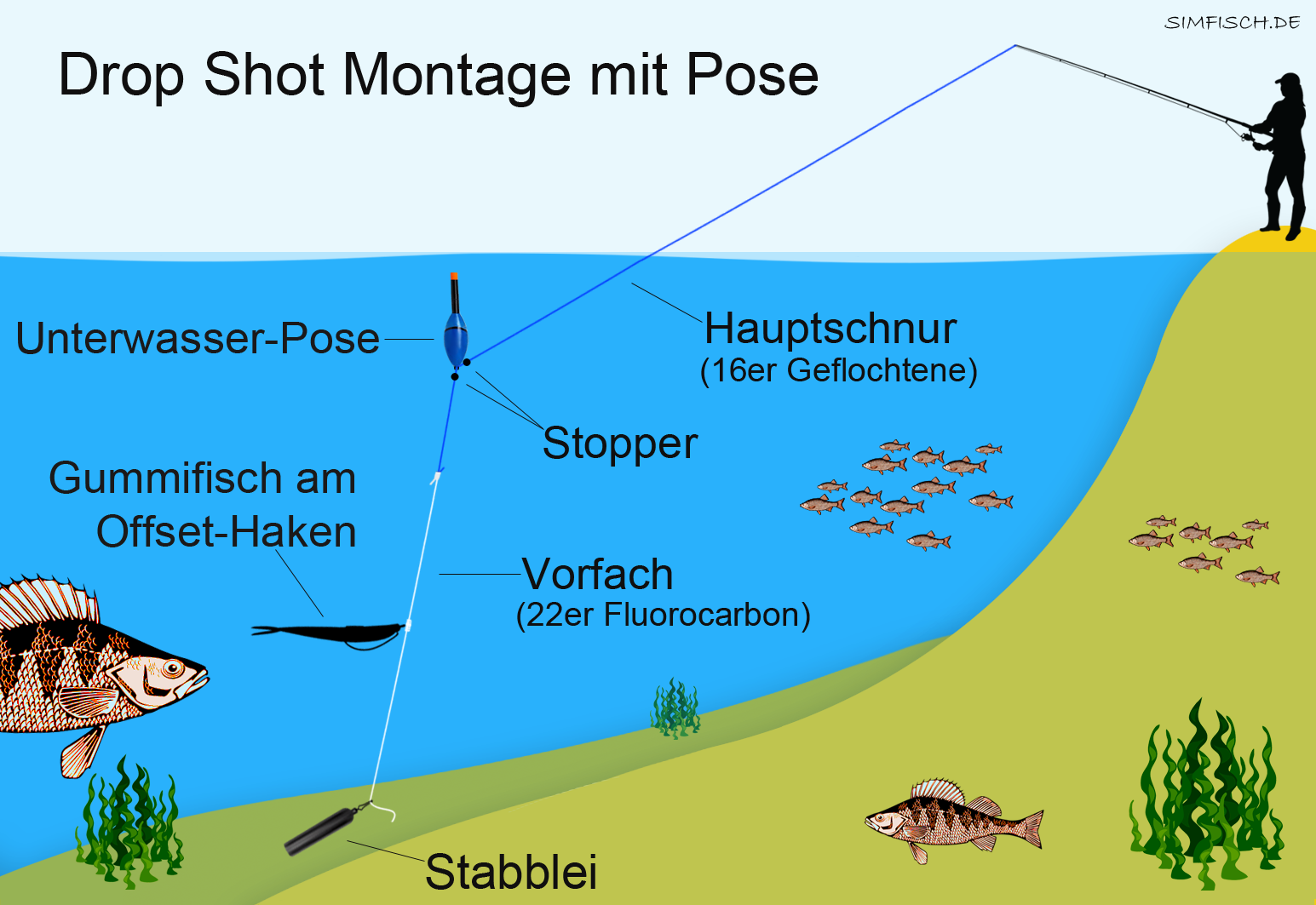 Drop Shot Angeln vom Ufer | Simfisch.de - Angeln und Outdoor!